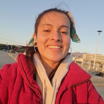 Ana Llavan